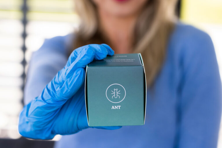 ant bait stations professional grade