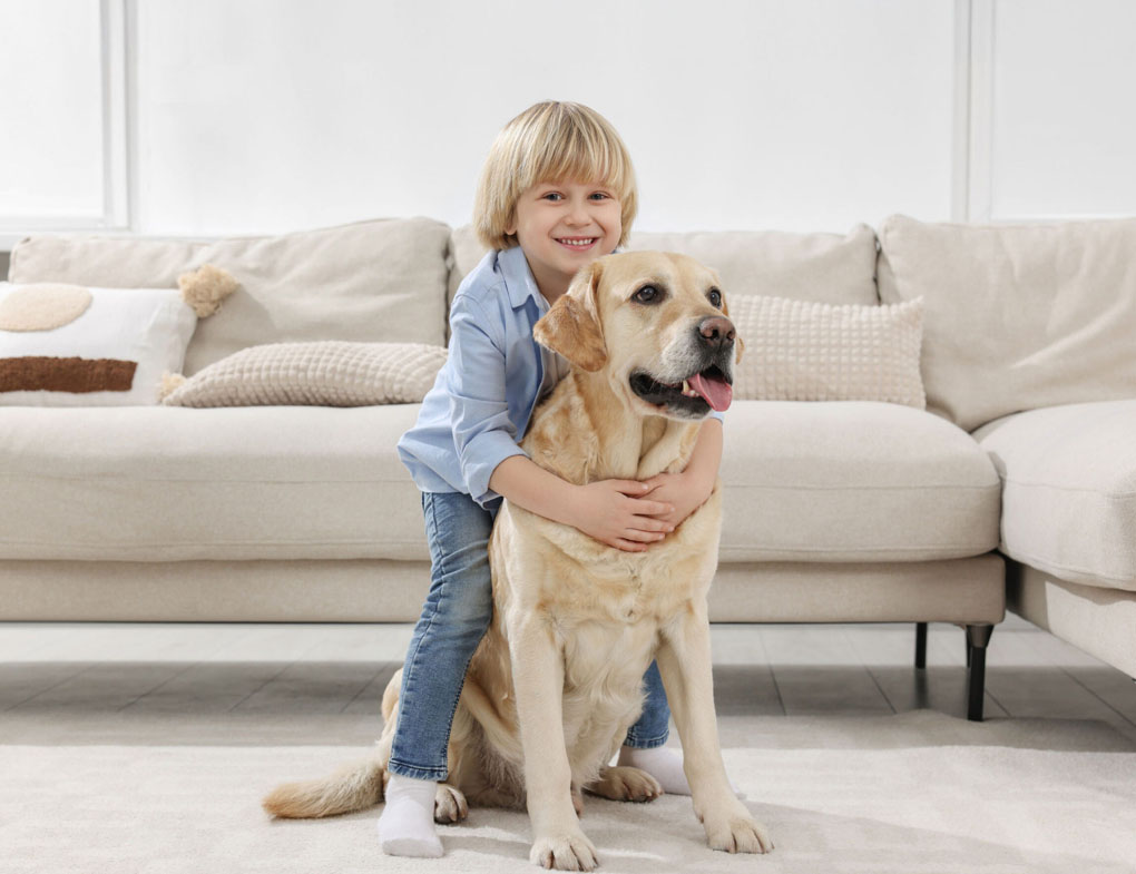 Family and pet safe pest control at home