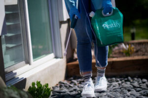 pest control perimeter treatment home